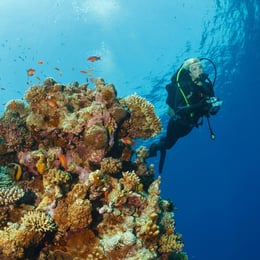 aqaba-scuba-diving
